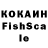 COCAIN FishScale Bsbhsdh Bzhzhdndnd