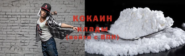 крисы Магас