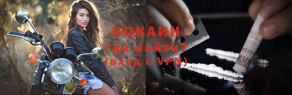 крисы Магас