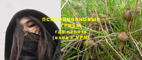гидропоника Магадан