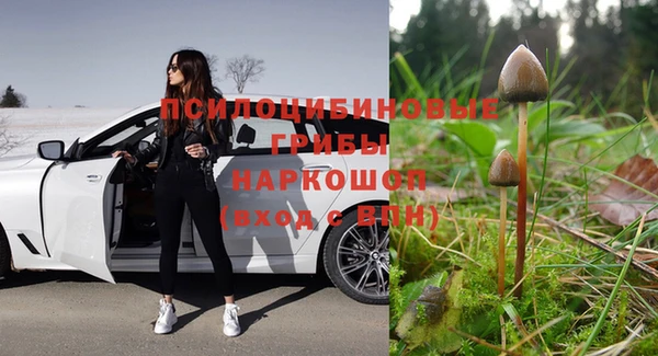 бошки Медвежьегорск
