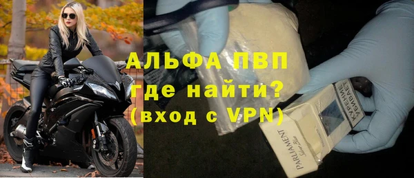 крисы Магас