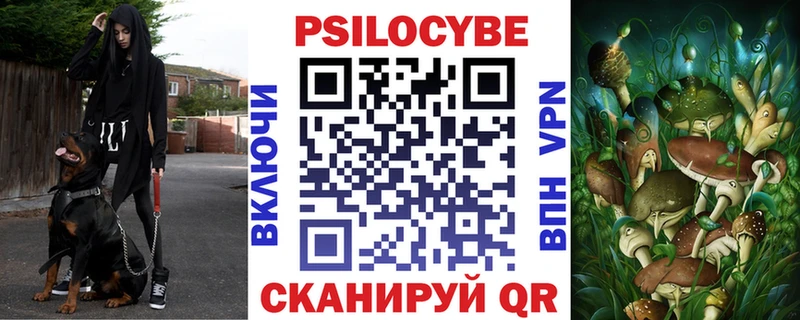 Галлюциногенные грибы Psilocybine cubensis  Купить где  Волгодонск 